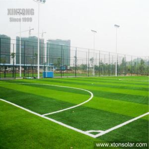 Sports Field High Mast Pole Lighting
