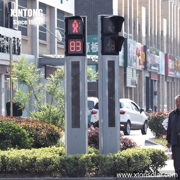 Traffic Light For Pedestrian Crossing Road